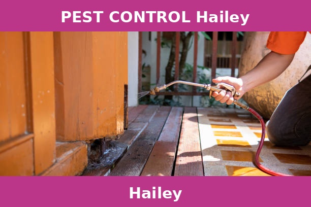 PEST CONTROL Hailey